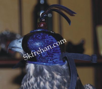Falconry Dutch Hood.